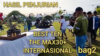 INSPIRATION, BEST TEN CHAMPION OF THE MAX30  INTERNATIONAL BALI 2025 (part 2) @mahkotabonsai#them...