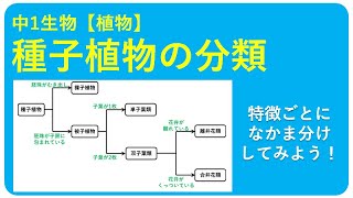 中1生物 種子植物のなかま その分類 中学理科 ポイントまとめと整理