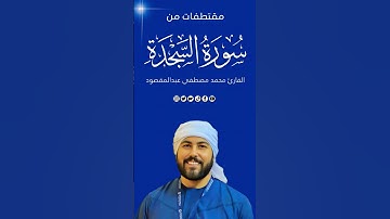 ما تيسر من سورة السجده | القارئ محمد مصطفى عبدالمقصود