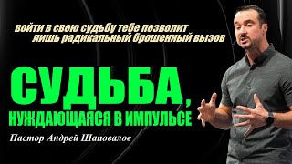 видео: Самые великие вещи исходят изнутри человека. Судьба, нуждающаяся в импульсе. Пастор Андрей Шаповалов картинка: Самые великие вещи исходят изнутри человека. Судьба, нуждающаяся в импульсе. Пастор Андрей Шаповалов