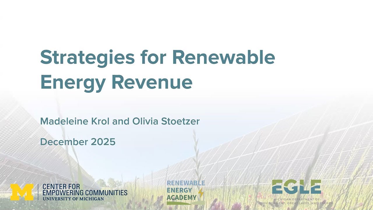 Strategies for Renewable Energy Revenue