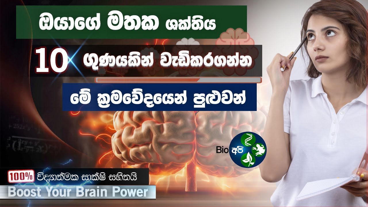 මතක ශක්තිය වැඩිකරගන්න 🧠⚡ මෙහෙම වැඩ කරන්න -  Increase your Memory And Brain Power to 10x Sinhala
