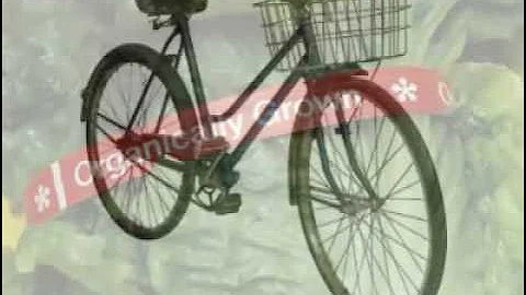 Sustainable Consumption