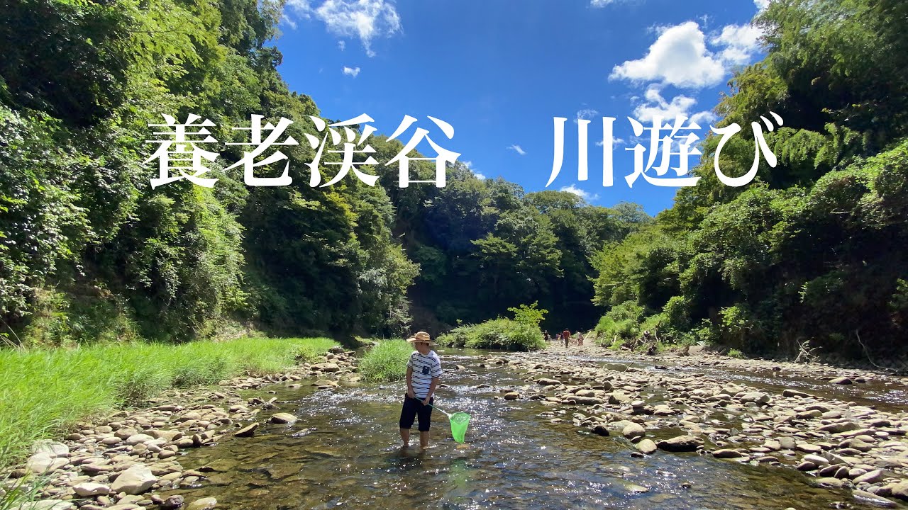 養老渓谷 川遊び Youtube