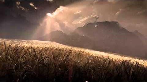 Vue Xstream wheat field