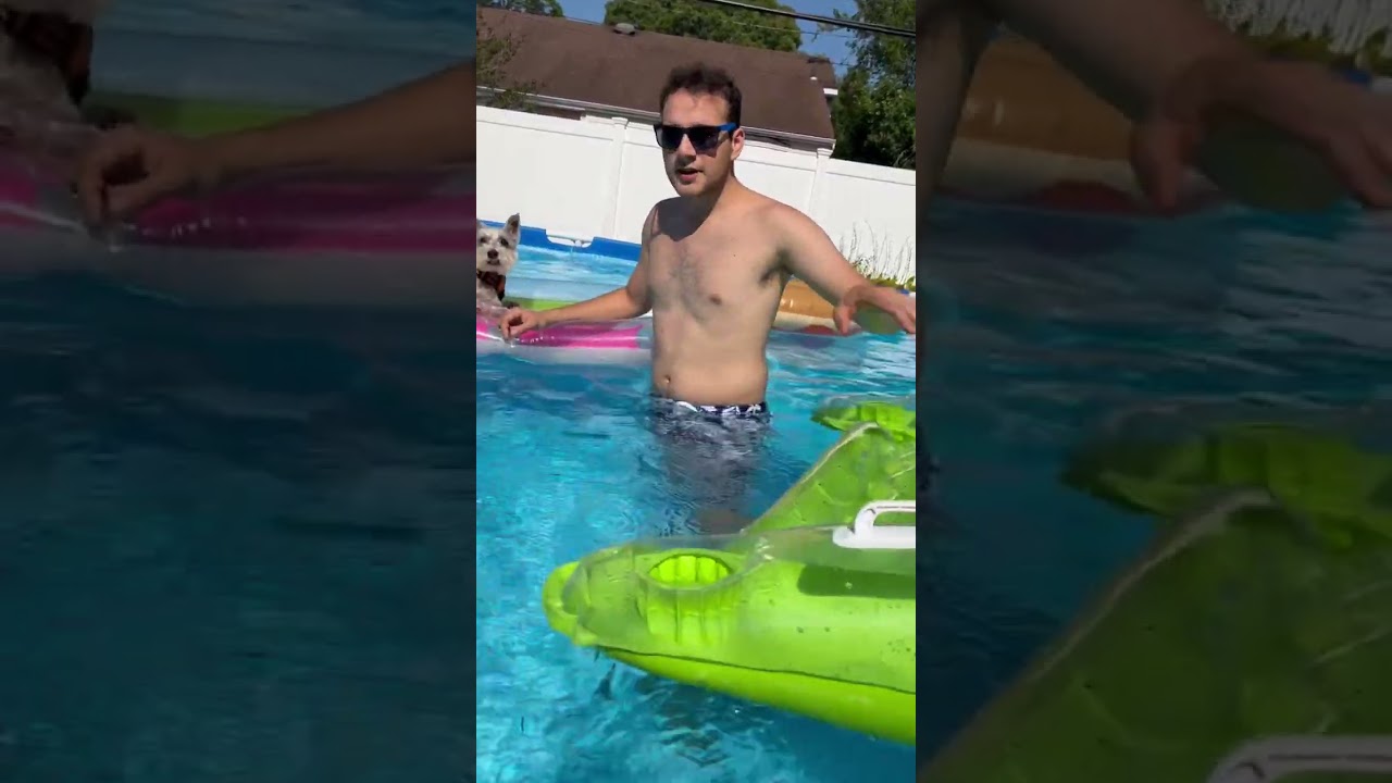 Do Dogs Instinctly know how to Swim￼???🐶💦🏊‍♂️ 