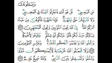 القارئ ماجد الزامل - سورة البقرة - من الآية 222 إلى الآية 224