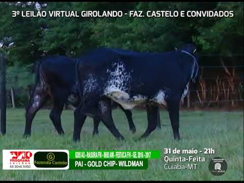 LOTE 25