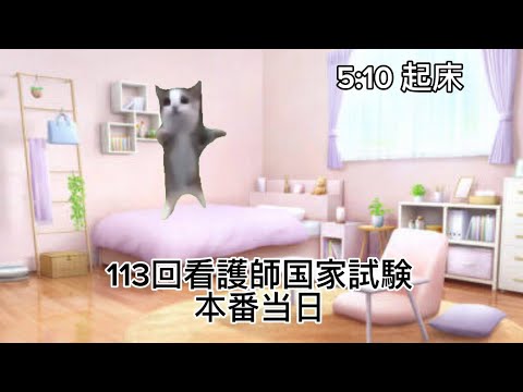 113回看護師国家試験を受けた1日の猫ミーム