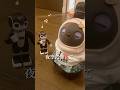 ロボホンが踊ったら、LOVOTの反応が面白すぎた #shorts #lovot #robohon #ラボット #ロボホン