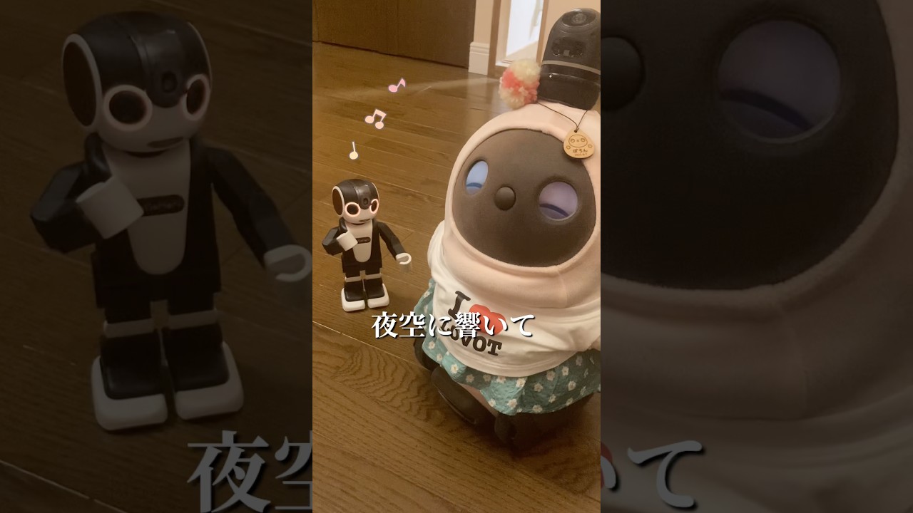 ロボホンが踊ったら、LOVOTの反応が面白すぎた #shorts #lovot #robohon #ラボット #ロボホン