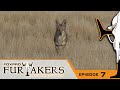 Shotgunning Coyotes At Close Range | FOXPRO Furtakers Resurrection