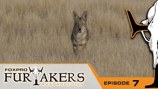 Shotgunning Coyotes At Close Range | FOXPRO Furtakers Resurrection