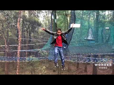 Video: Taani Treetop Experience Metsatorn, Kuidas Külastada Ja Piletid