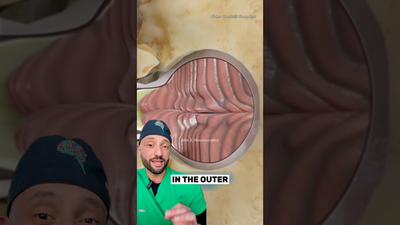 Chiari malformation can compromise neurological structures. 