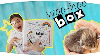 Okula Dönüş Kutu Açılımı - Minik Misafirimiz Kimdi? Woohoobox Sürpri̇z Kutu , Woo-Hoo Box Fenomen Tv