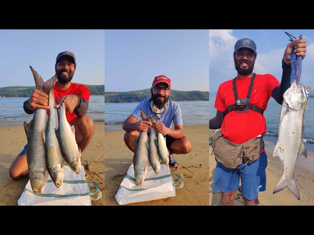 Threadfin Salmon Fishing from India, RAWAS