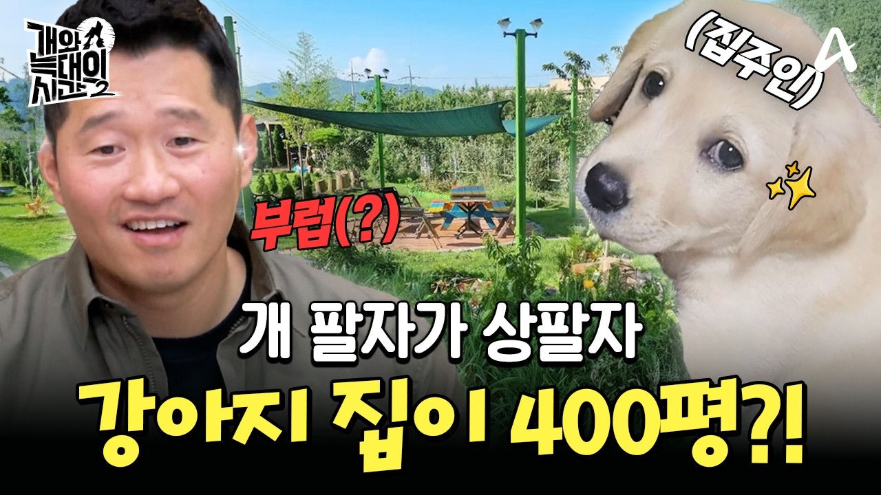 강아지 집이 400평?! 완벽한 개토피아🐶 개 팔자가 상팔자인 이유✨| #개와늑대의시간2 5회