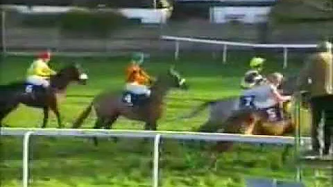1994 William Hill Hand Hurdle at Sandown Park