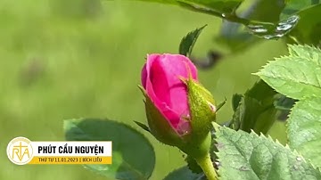 Phút Cầu Nguyện, Thứ Tư 11/01/2023: Có Chúa Đồng Hành