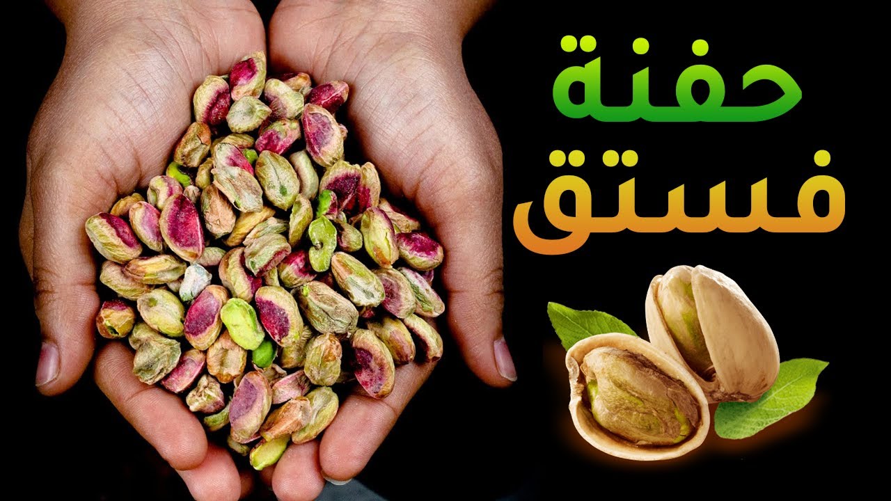 فوائد الفستق للرجال