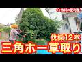 【伐採12本🌲地表ピーリング草取り☘️ナンテン鉢植粉砕】三角ホーで通路の草一掃、チェーンソーで雑木解体🌴粒状除草剤で総仕上げ｜千葉県市川市の便利屋！各作業料一覧、お問い合わせ先は概要欄をご覧下さい！