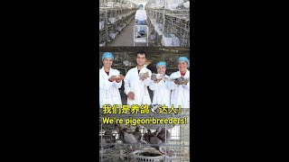 Xinjiang youth aspires to fight poverty with pigeon breeding