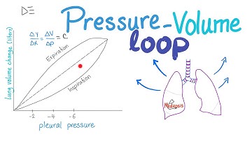 Pressure-Volume Loops | Compliance | Respiratory Physiology