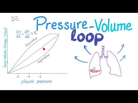 Pressure Volume Loops Compliance Respiratory Physiology 