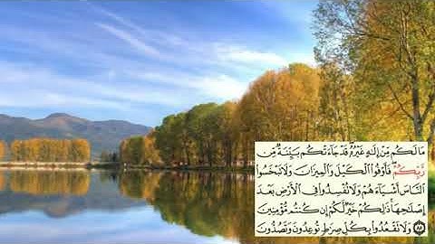 صفحة-161 page سعد الغامدي - -سورة الأعراف -Al-Araf