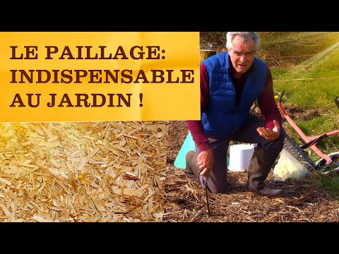 Vidéo: Expérience De Paillage: Quoi Et Comment Faire Du Paillis