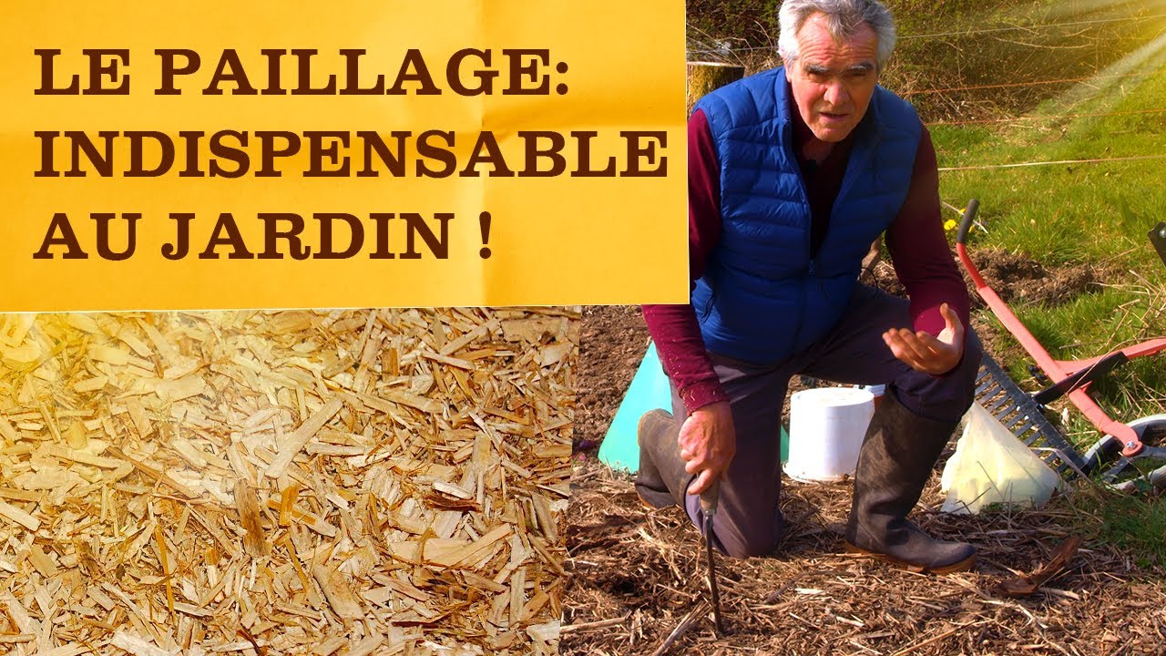 10 conseils sur le paillage - Mon Jardin Ideal