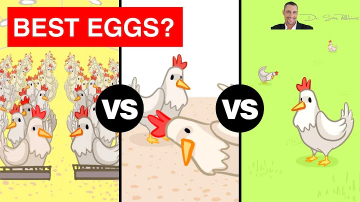 🥚 The Shocking Truth Between Free Range, Cage Free and Pasture Raised Eggs? - by Dr Sam Robbins - DayDayNews