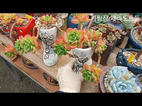 ผลสลากกินแบ่งรัฐบาล วันที่ 1 พย. 2567