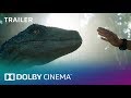 Jurassic World: Fallen Kingdom: Official Trailer | Dolby Cinema | Dolby