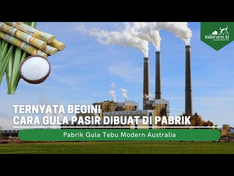Video: Apakah pabrik gula pasir buka?