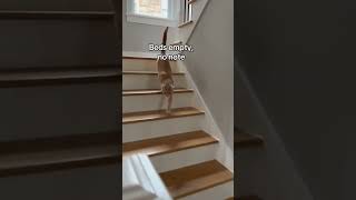 Download Lagu When your parents leave you with the cat sitter for a weekend #shorts #catmemes #cats #harrypotter MP3 Download Lagu When your parents leave you with the cat sitter for a weekend #shorts #catmemes #cats #harrypotter MP3