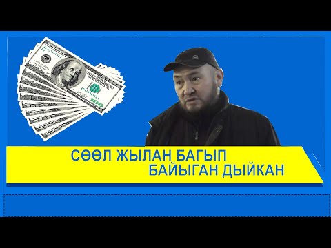 Video: 20 гектардын узундугу канча?