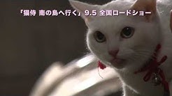映画とドラマ 猫侍 ちゃんねる Youtube 映画とドラマ 猫侍 ちゃんねる Youtube