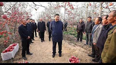 河南人愛騙人？多部門介入調查楊丞琳演唱會風波；COP28第三版案文草案公布 「淘汰化石燃料」說法被刪；成蕾入職天空新聞；華為余承東憤怒：坑人測試、誤導民眾！突發與現場20231212 - 天天要聞