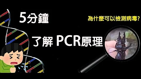 PCR 如何檢測病毒，原理是什麼? 有什麼優點? Ct值是怎麼來的? - 天天要聞
