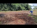 Limpeza de chácara