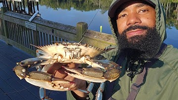 Amazing Day Of Crabbing**Catch and Cook**Florida Blue Crabs