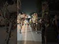Camel kiss 😂❤️cows squad on road❤️😂 #cow #love #bull #petlover #bakr #ytshorts #funny #cattleworld