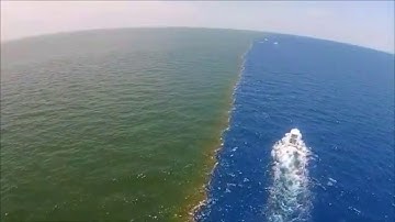 رب المشرقين ورب مغربين / سورة الرحمان / شيخ ياسر الدوسري