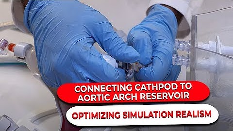 Optimizing Simulation Realism: Connecting CathPod to Aortic Arch Reservoir | SurgeonsLab AG