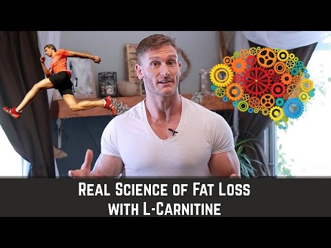 L-Carnitine | How to Mobilize Fat & Enhance Brain Health - Thomas DeLauer