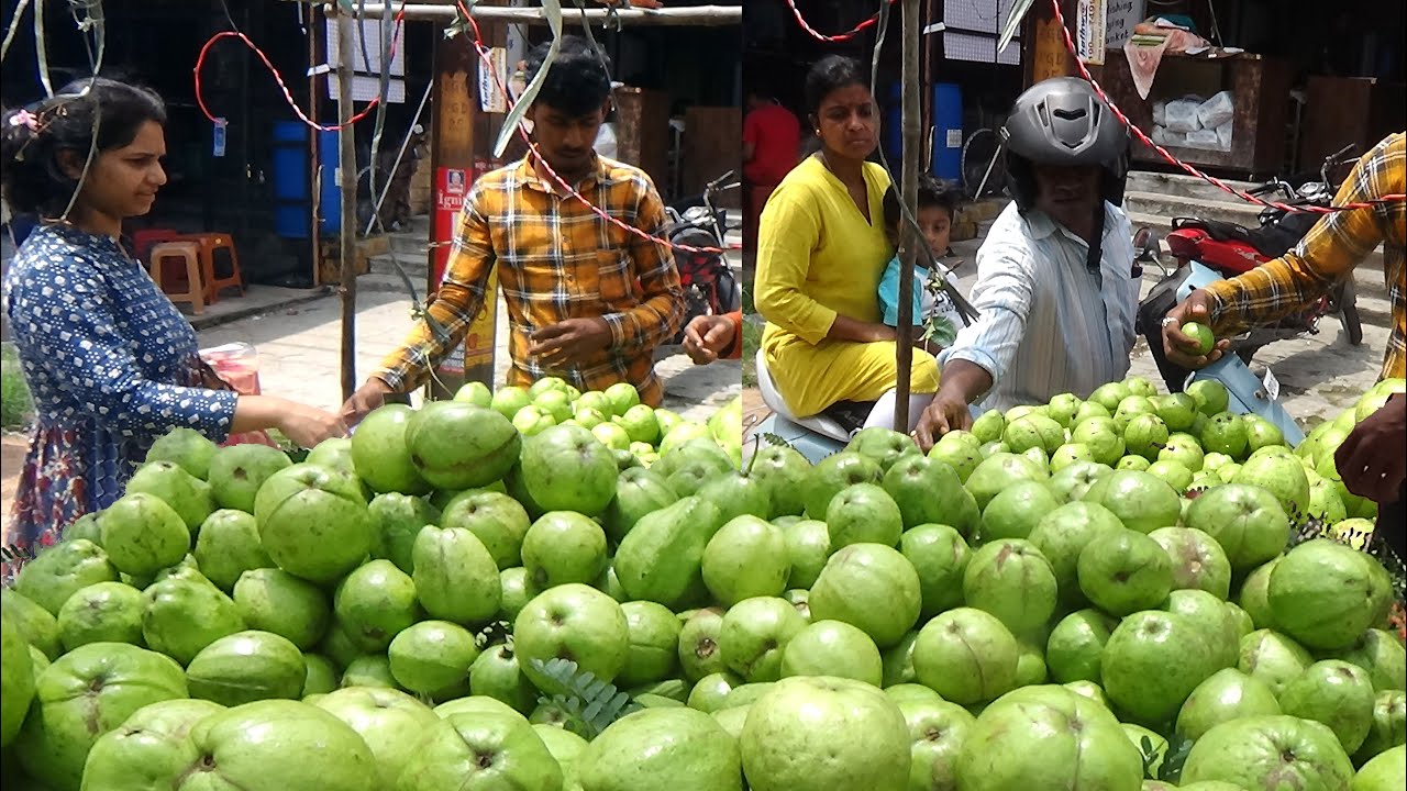 Amazing Guava Fruit Selling Skill | SPECIAL Tasty Masala Pyara ( Guava ) | Healthy Fruit | Street Food Catalog