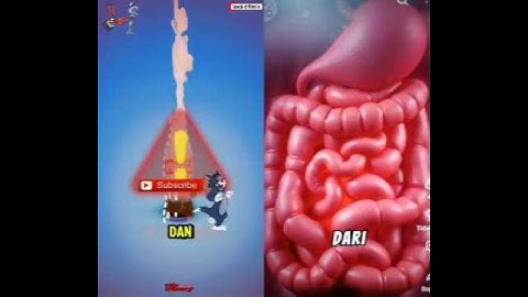 fakta unik perut #shorts