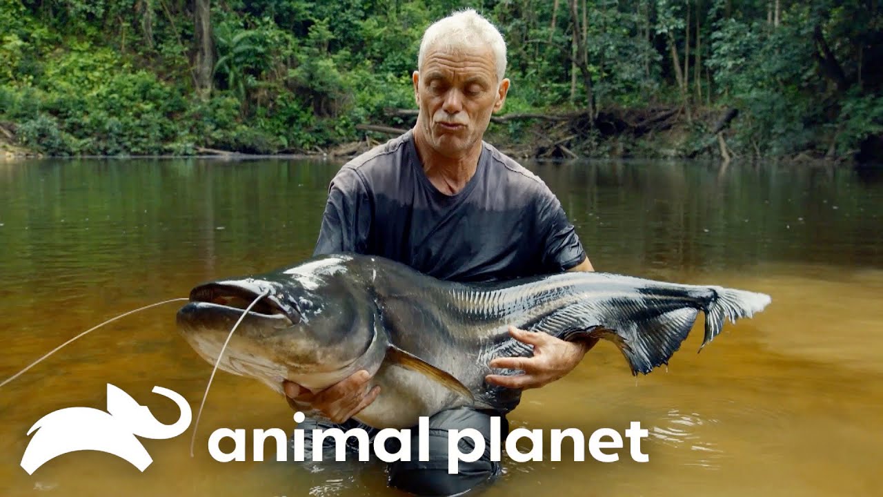 discovery monster fishing with net CWC XL Good Luck Finding Monsters |
